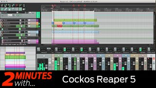 Cockos Reaper Review