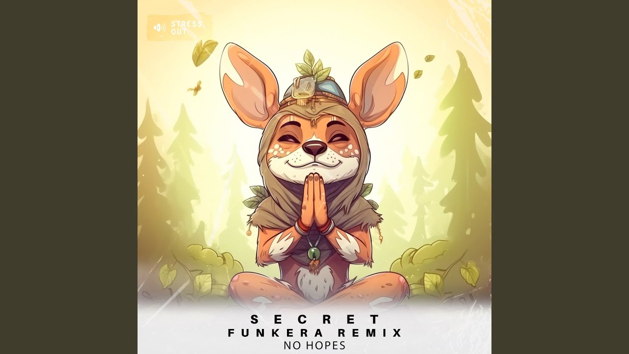 Secret (Funkera Remix)