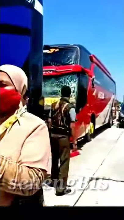 Laka Bu Terbaru | Kecelakaan Karambol BUS Dewi Sri-Haryanto-Agra Mas Laka Bus di Tol.#shorts