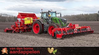 Planting potatoes with Fendt 828 and Grimme Compacta GL860 season 2021