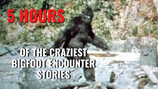 5 HOURS OF NEW BIGFOOT ENCOUNTER STORIES! Bigfoot StoryTime | #Bigfoot