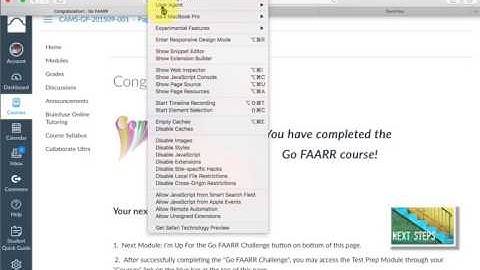 How to emulate Internet Explorer in Safari