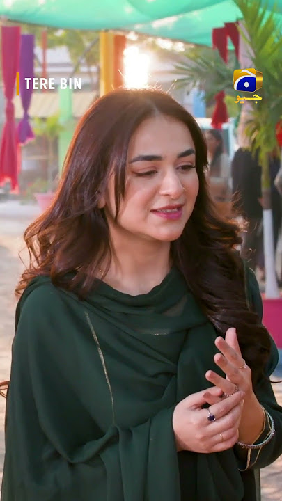 Bhai Sahab Aap Inhe Jante Hain ?? #YumnaZaidi #Terebin #Shorts