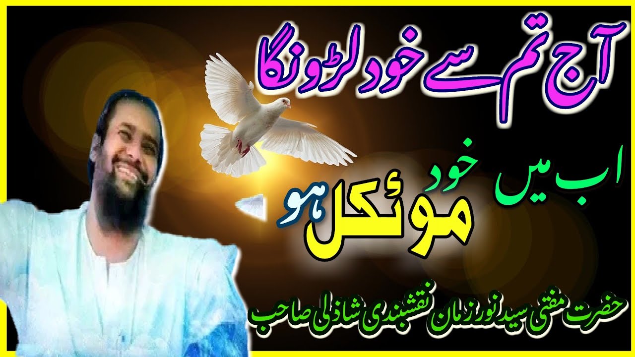 Hazrat Syed Noor  Zaman Naqashbande Shazli (D.B)@Shazli-313 @SNZNSTV