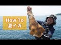 真夏のエギング攻略 ～夏イカの釣り方～