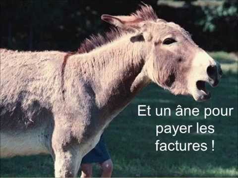 quels sont les 4 animaux necessaires a une femme