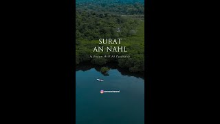 Surat An Nahl Ayat 97 Istihsan Arif Al Fudhaily