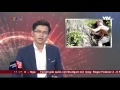 Du lịch Việt Nam - Giật mình bởi những lỗ hổng quản lý | VTV24 |namdaik