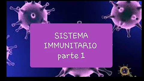 Cosa vuol dire essere autoimmuni?