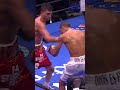 Mario Barrios KO'd Manuel Vedes in 14th win