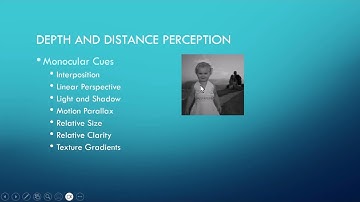 Chapter 5 - Depth Perception
