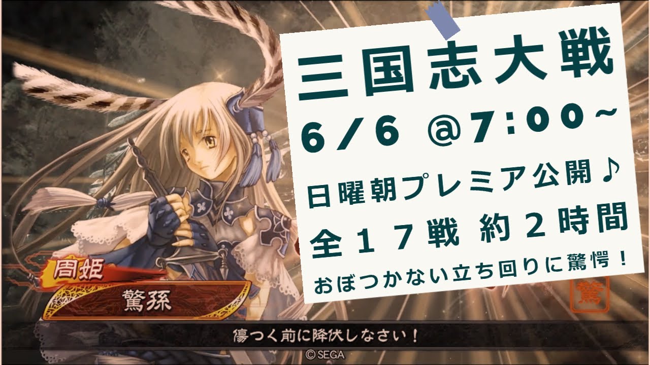 三国志大戦 漢 R沮授 突撃 兵兵兵 兵3 【公式通販】