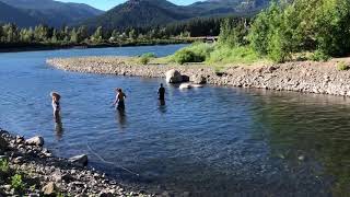 Tanner creek chinook 9/2/20 the ones that got away.