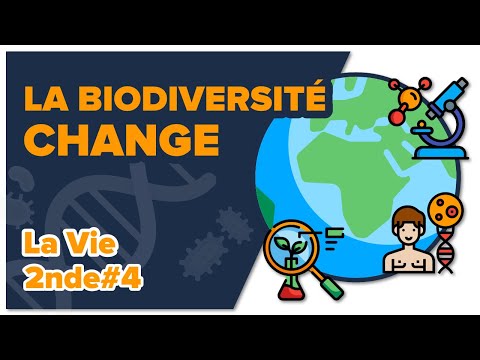 Vidéo: Le Niveau Actuel De Biodiversité Ne Diffère Pas Beaucoup De Celui Observé Dans Les 60 Dernières ML. - Vue Alternative