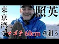 【釣りバカ】東京湾で60cm越えマゴチを狙う! の動画、YouTube動画。