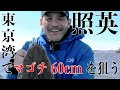 【釣りバカ】東京湾で60cm越えマゴチを狙う！ の動画、YouTube動画。