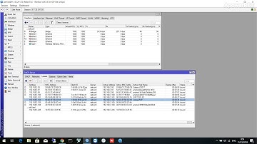 mikrotik DHCP assigment static IP