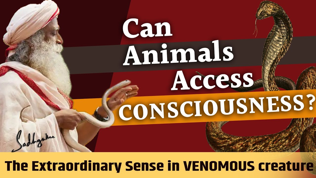 Can Animals Access Consciousness ? || Sadhguru - YouTube