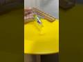 HABA Yellow Circle & Wooden Wave Slope + 6 Feather Marbles #asmr