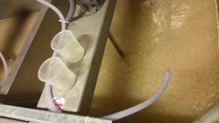 Bond Water Dual Polymer Approach Improving Wastewater Quality