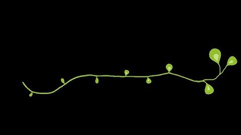 Front end JavaScript Frameworks Comparison GROUP 3