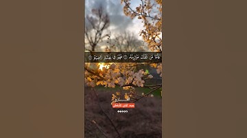 سورة القارعة بصوت هادئ للقارئ عبد الولي الاركاني