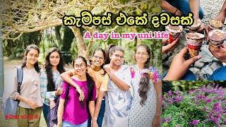 කැම්පස් එකේ දවසක් | A day in my life | Ama's Diary  #universityofperadeniya #univlog #studywithme