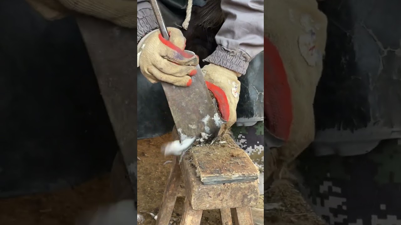 The master’s technique is neat and tidy【Black Donkey Prince】