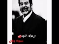 غاب الاسد صدام فضنت الكلاب انها ملوك