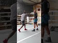 Boxing must be studied #shortfeeds #boxing #power #speed #fightprep #action