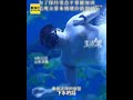 顛覆仙氣審美 百公斤胖人魚成流量密碼？