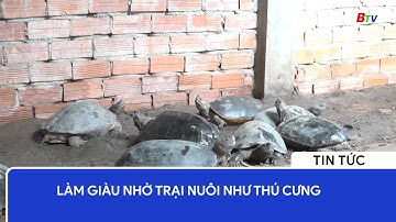 Làm giàu nhờ trại nuôi như thú cưng | BTV - TRUYỀN HÌNH BÌNH DƯƠNG