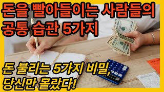 [부자정보:습관]돈 모으려면 꼭 알아야 할 것들 5가지#중년재테크#돈모으는습관#경제심리학#부자되는습관#돈모으기팁#재무관리#노후준비#소비습관개선#돈관리방법#만세 #만들어가는세상