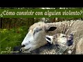 La oveja que adoptó un lobo - Historia para reflexionar antiviolencia que TODOS deben oír