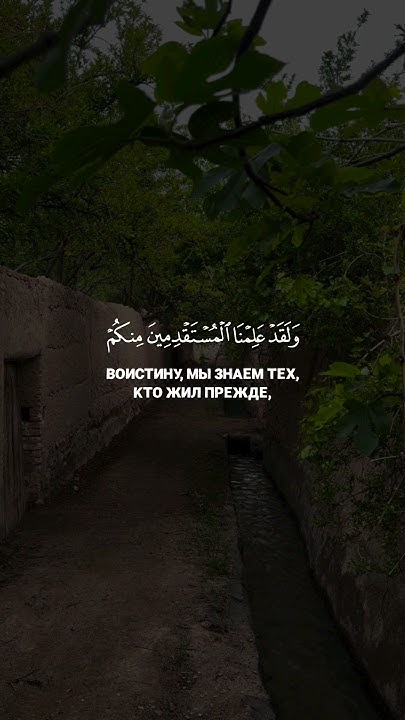 Ассаламу алейкум ва рахматуЛлахи ва баракатух, Сура Аль-Хиджр аят 23 до ...