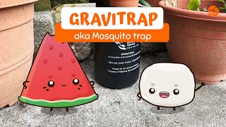 Gravitrap: aka Mosquito trap
