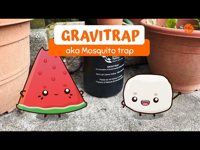 Thumbnail for Gravitrap: aka Mosquito trap