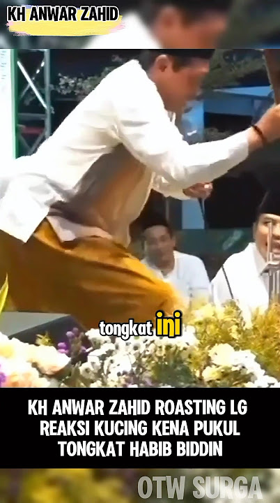 Cat's reaction to being hit by Habib Biddin's stick, Anwar Zahid's study #anwarzahid #study