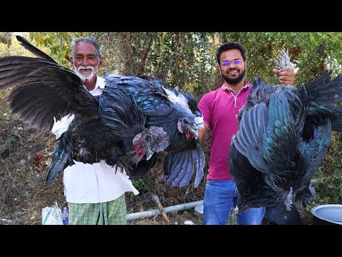 Amazing Black Chicken Biryani Recipe | Cooking Black Chicken Pulao By Grandpa