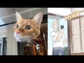 見た瞬間、脳がバグる錯視映像(解説付き)
