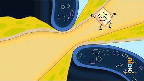 All 3 Nickelodeon April Fools Day Screen Bugs (4/1/20)