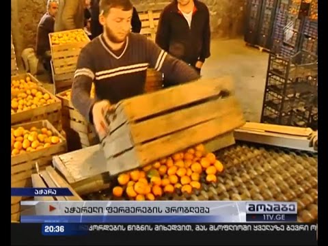 ციტრუსი სარეალიზაციოდ გამზადებულია, მყიდველი კი არ ჩანს