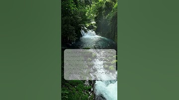استمع لسورة الليل وتأمل في عظمة الخلق!  - Surah Al-Layl