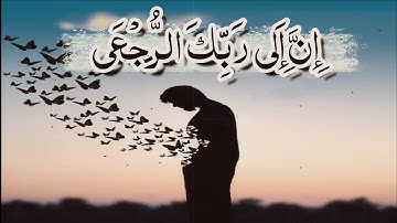 إِنَّ إِلَى رَبِّكَ الرُّجْعَى || الشيخ المنشاوى || سورة العلق || حالات واتس اب قران انستا