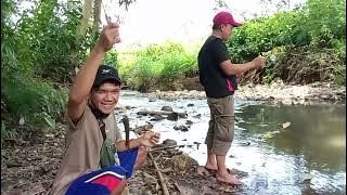 tarikannya ngeri sampe bikin joran melengkung😱, seru nya mancing liar'