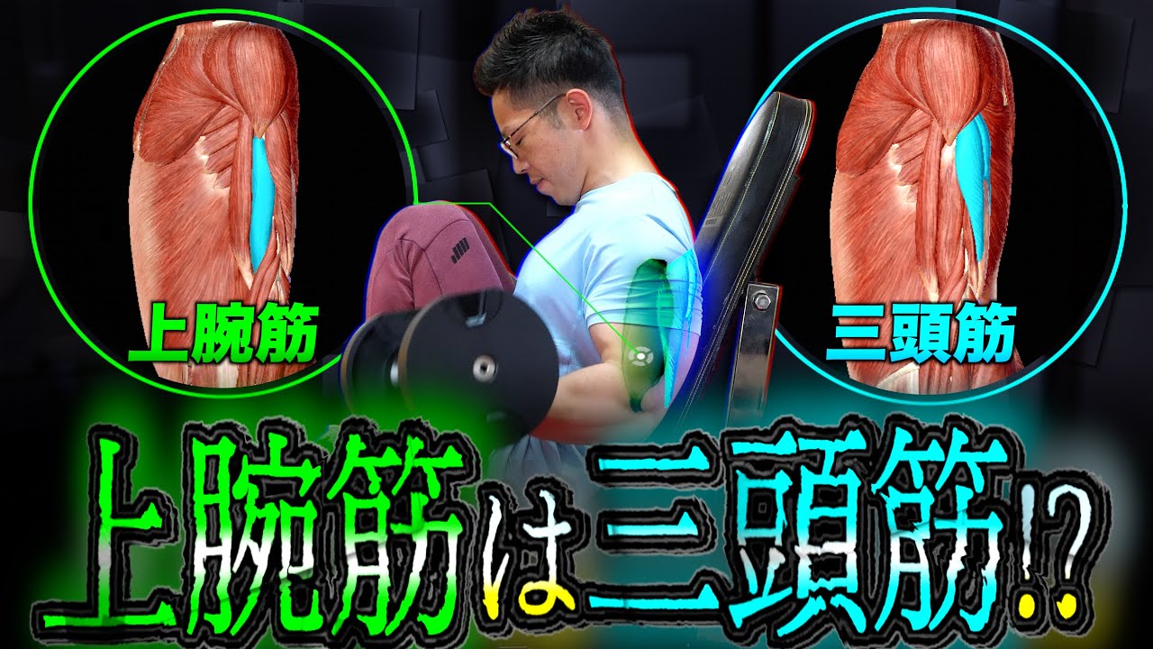 【筋トレ】上腕筋は三頭筋である！最新の研究成果を生かして、3次元の腕をゲットせよ！