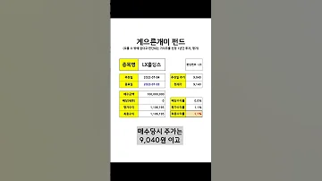 저평가 가치주 게으른개미 펀드 23번째 종목 LX홀딩스 Shorts