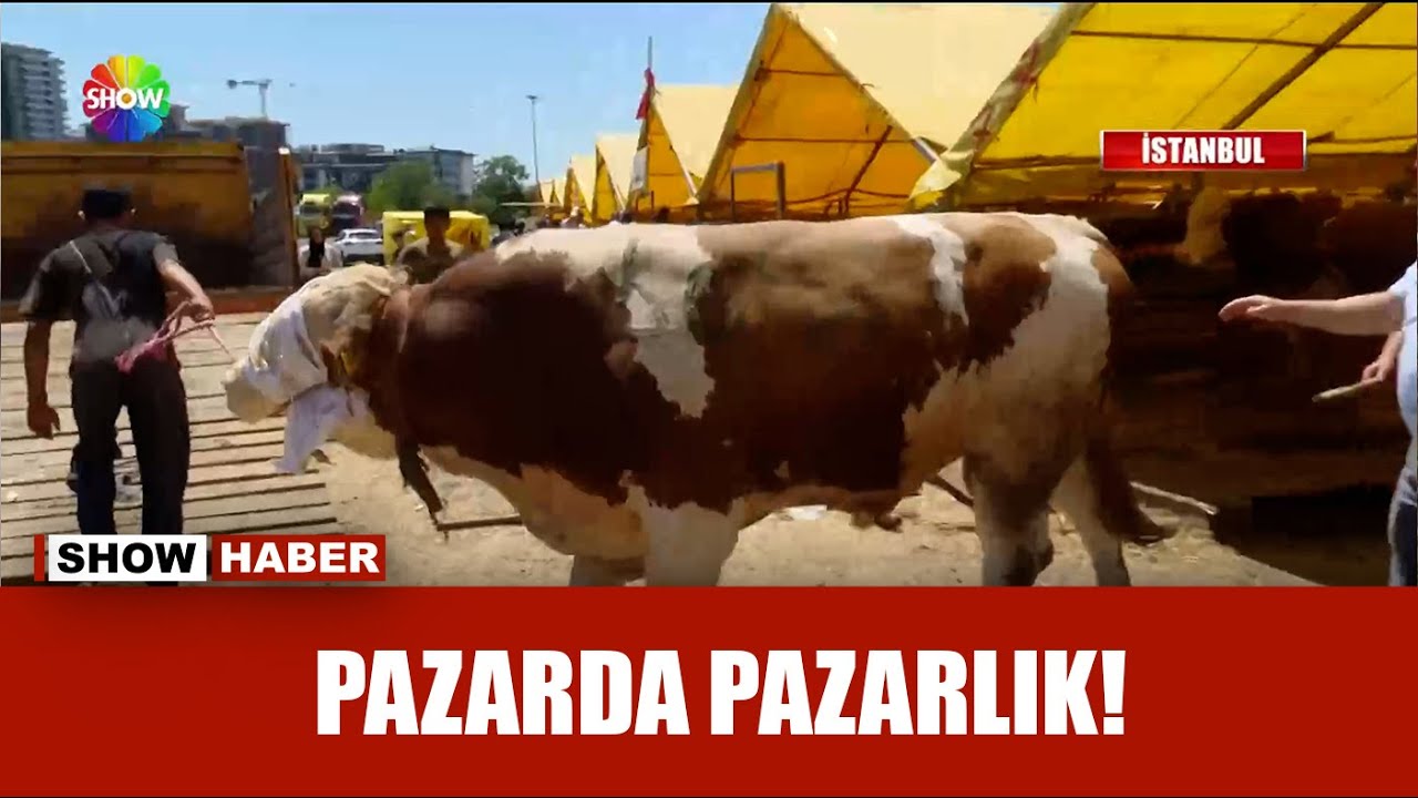 Kurban pazarlarında ilk gün hareketliliği!