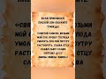 Если приснился тревожный сон — прочитай эту молитву #вера #религия #христианство #бог #православие