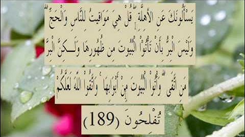 القران الكريم سورة البقرة الاية 189